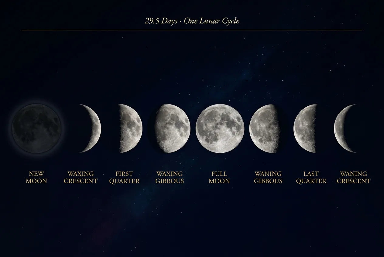 LUNEBORNE — moon phases